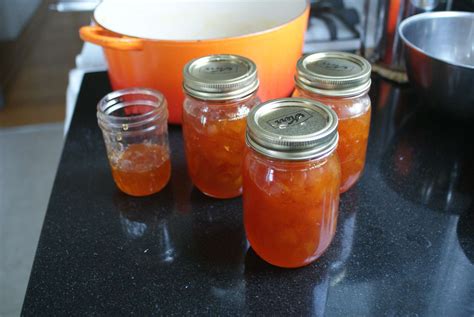 marmalade tsrip|How to Make Marmalade .